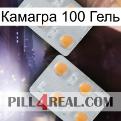 Камагра 100 Гель 25